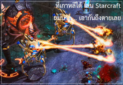 starcraft