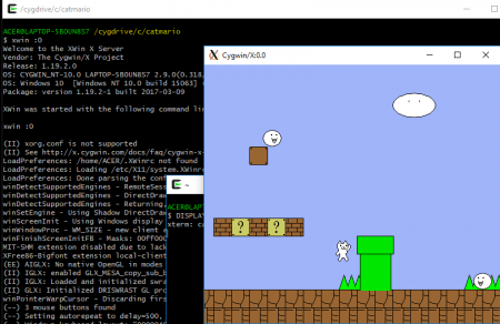 สั่ง run catmario ใน cygwin