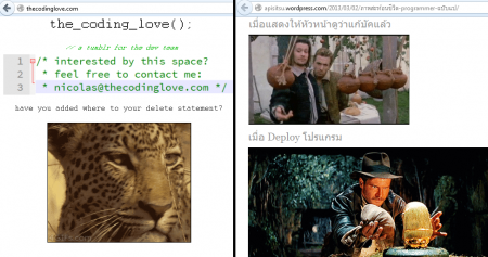 programmer behavior in another feeling programmer behavior in another feeling