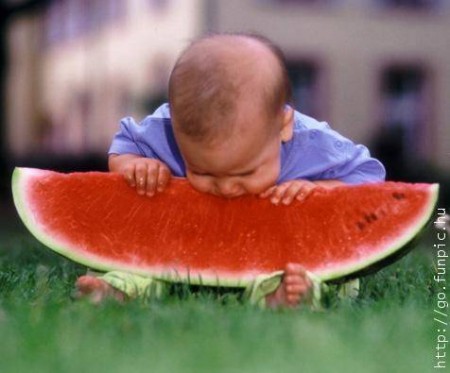 แตงโม (water melon)