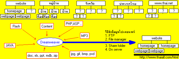 โครงสร้างของเว็บไซต์